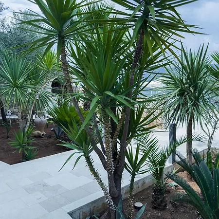 Luxury Beachfront Matista Konukevi