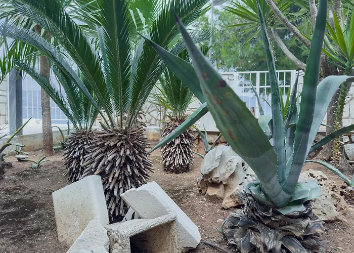 Konukevi Luxury Beachfront Matista *